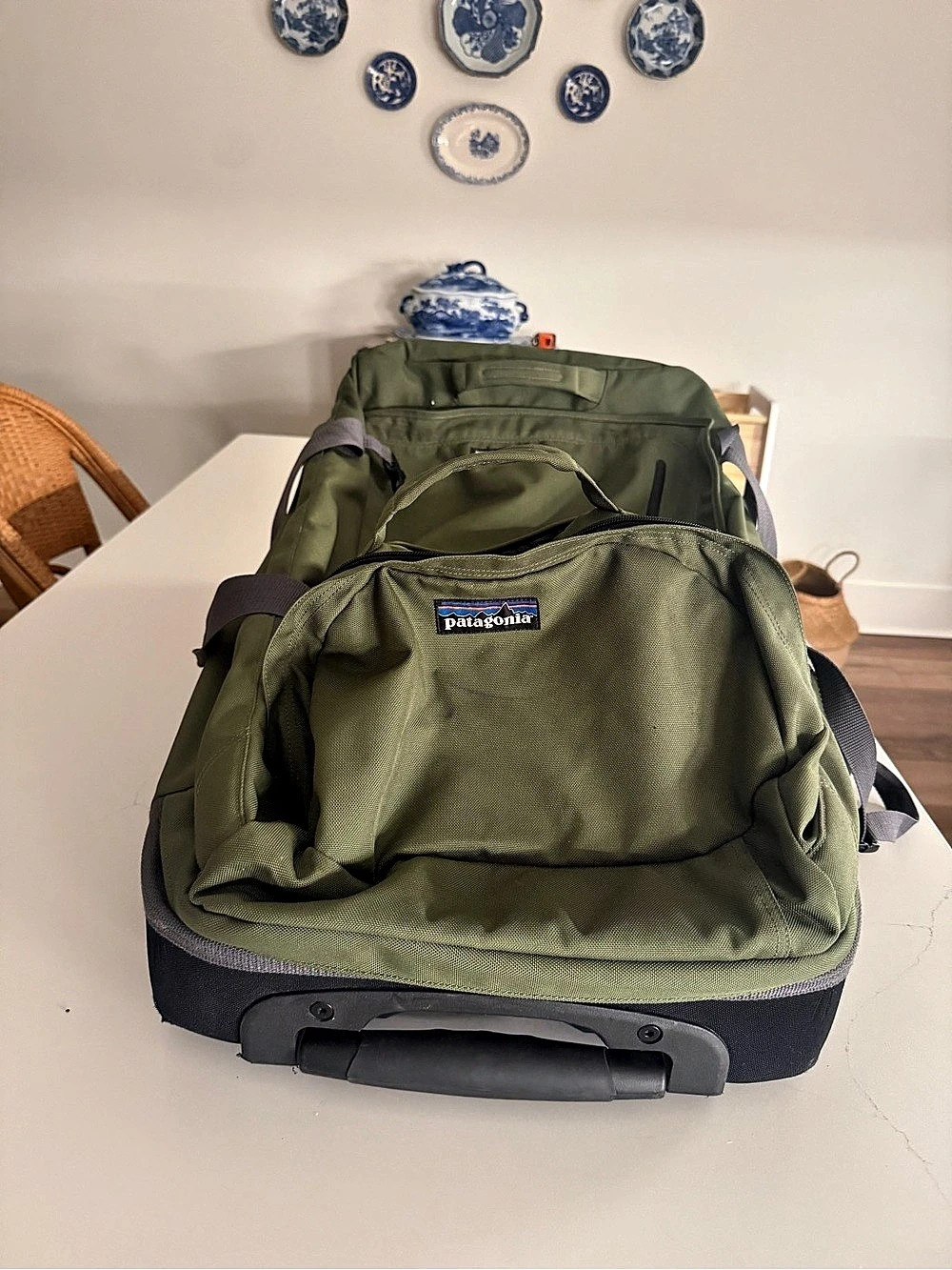 Patagonia Freewheeler Max Rolling Travel Bag Green